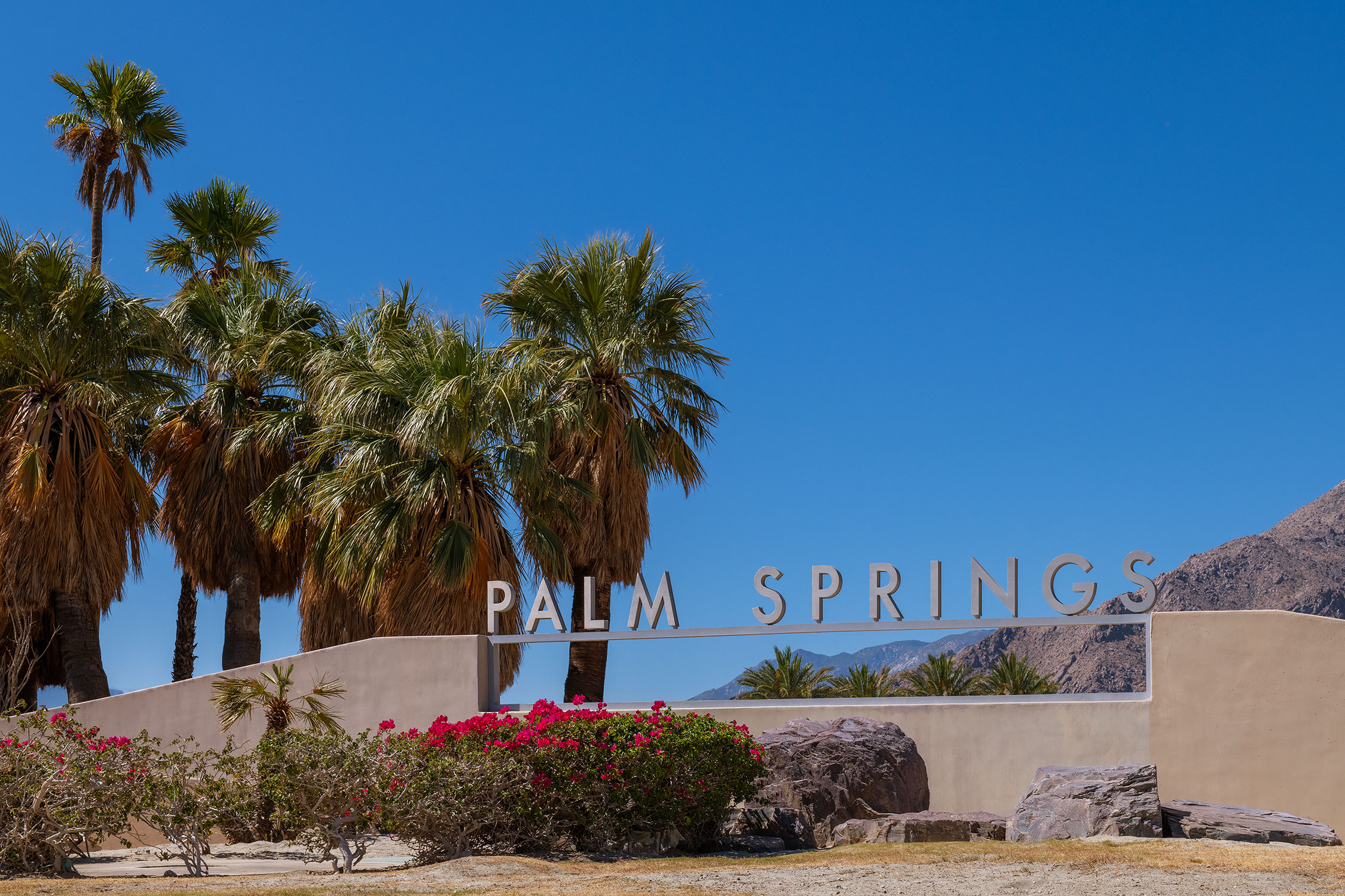 Easy Scenic Hikes in Palm Springs Beginner Friendly Trails to